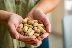 Giving infants peanut products lowers risk of allergy later in life, new NIH study finds