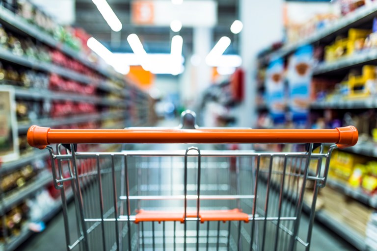Millions in taxpayer funds lost to food stamp payment errors: Study