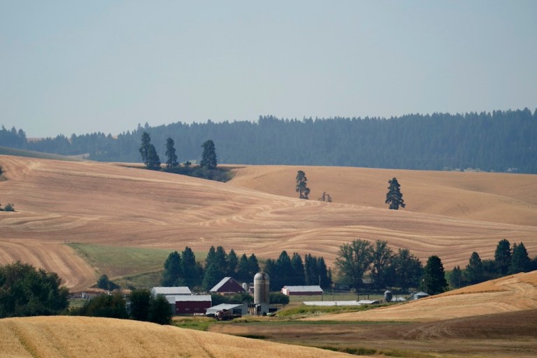 Why the farm bill matters for states that don’t rely on farmers
