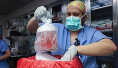 First pig kidney transplant patient dies nearly two months after procedure