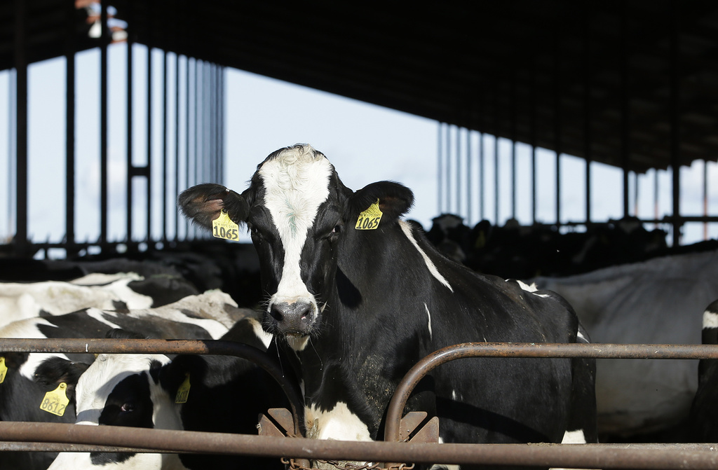 Biden-Harris diet panel to elevate plant proteins over meat in snub to farm voters