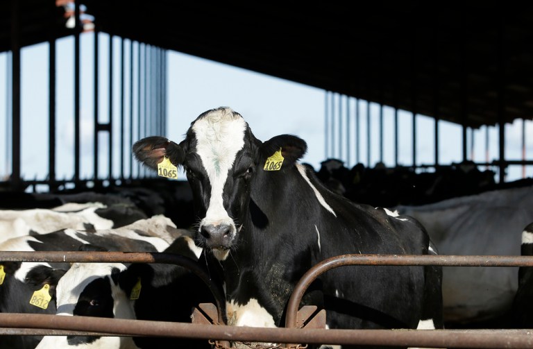 Key agency outlines plan for bird flu research in preparation for more human cases
