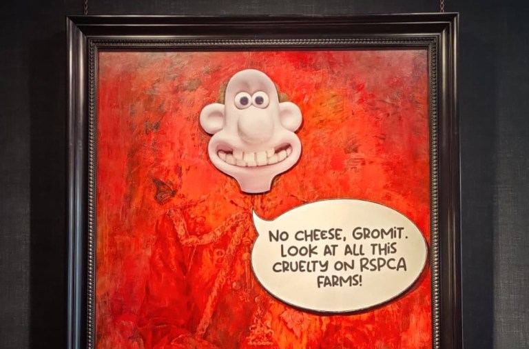King Charles III portrait vandalized with Wallace and Gromit sticker