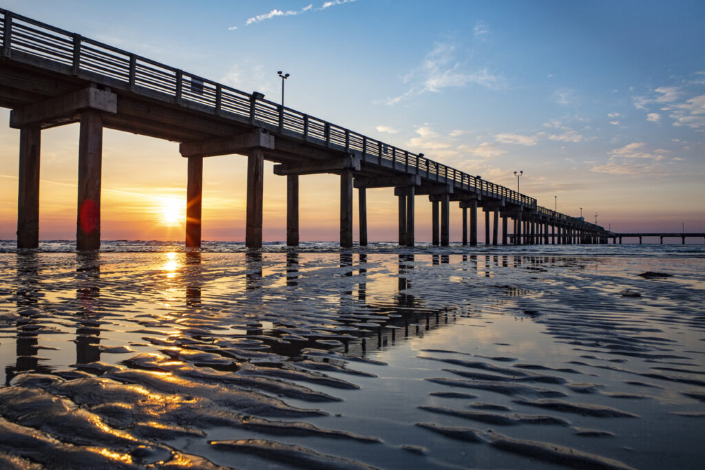 Severe flooding leads to unprecedented crisis, destroys Galveston Bay oysters