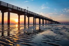 Severe flooding caused ‘unprecedented crisis,’ Galveston Bay oyster destruction