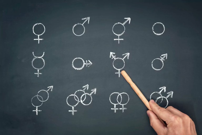 Congressional Republicans introduce the Defining Male and Female Act