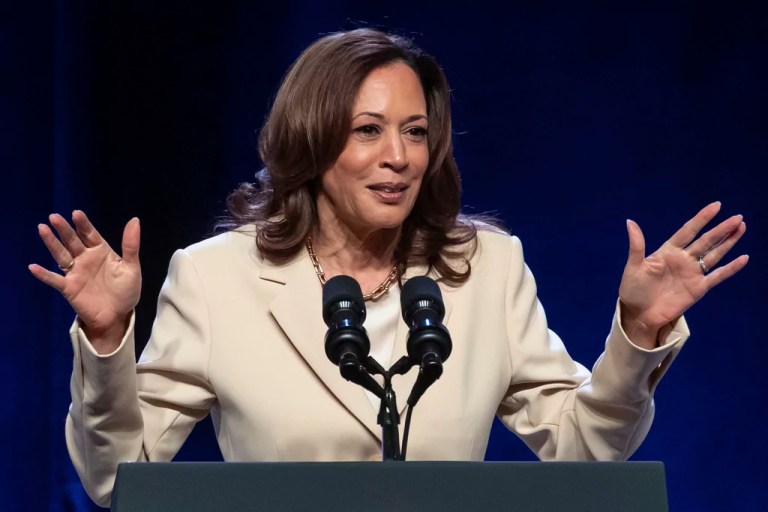 Kamala Harris and DEI