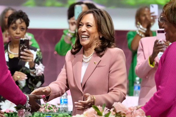 The ‘White Dudes for Harris’ Zoom call was … weird