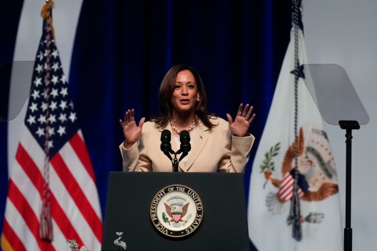 How long will Kamala Harris be a foreign policy black box?