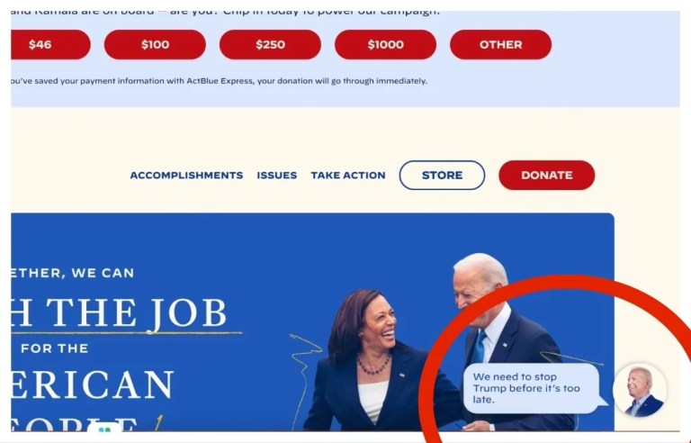 Screenshot from Joe Biden's campaign website