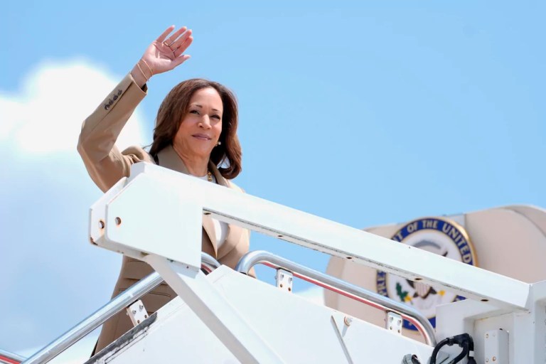 ‘White Dudes for Harris’ Zoom fundraiser aims to shore up support among Democrats’ weakest demographic