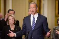 Senate Republican whip advises Trump to campaign against Harris’s policies over race