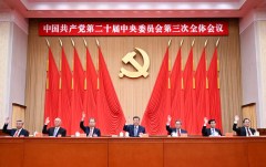 Xi Jinping insists on a fatally flawed economic strategy