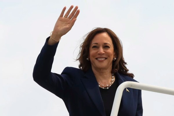 Will Democrats suffer impulse buyer’s remorse?