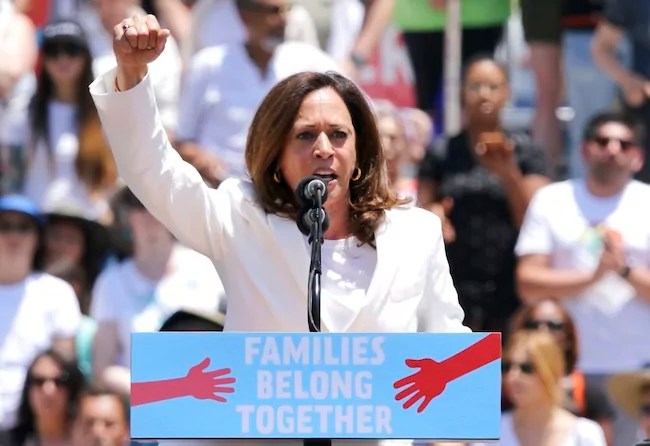 ‘Border czar’ Kamala Harris flip-flops on immigration to build case against Trump