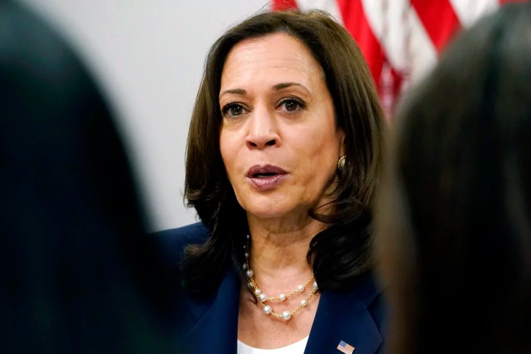 ‘I think everybody will get there’: WA Dem chair on delegates endorsing Harris for prez