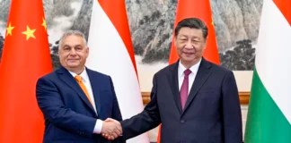 Xi calls for Ukraine ceasefire during meeting with Orban