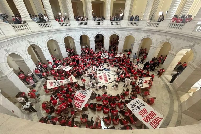 Pro-Palestinian protesters stage demonstration in House office building day before Netanyahu address