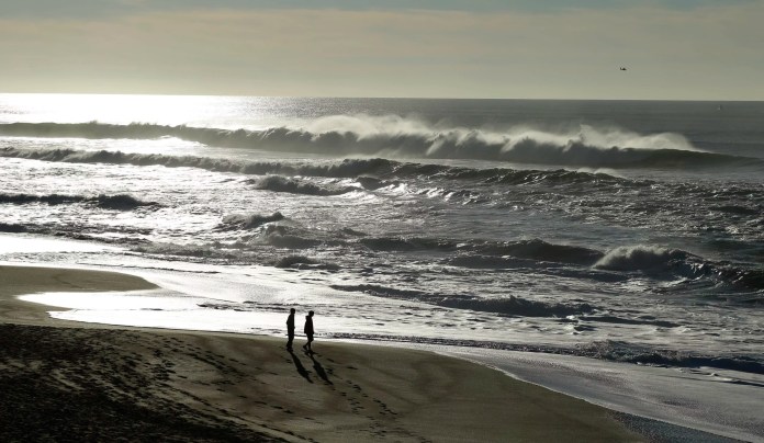 Four people attacked by shark near Texas on Fourth of July