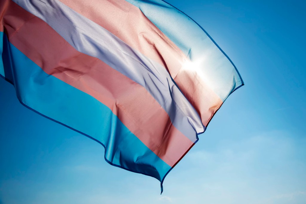 NextImg:Insurance giant called out for promoting DEI, child transgenderism