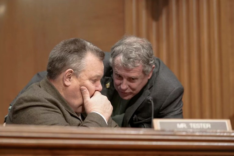 Vulnerable Senate Democrats dodge on Biden mental fitness