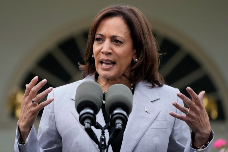 Harris is an anti-gun authoritarian