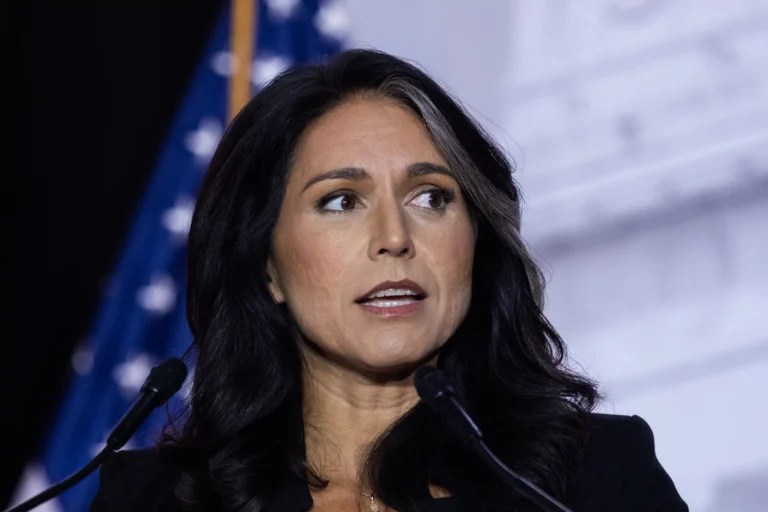 Tulsi Gabbard slams Harris for refusing to ‘own up’ to past in Fox interview