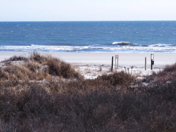 Opponents to New Jersey offshore wind project raise concerns of impact on protected wetland