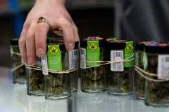Hemp ban makes it into funding bill: ‘Soon be banned nationwide’