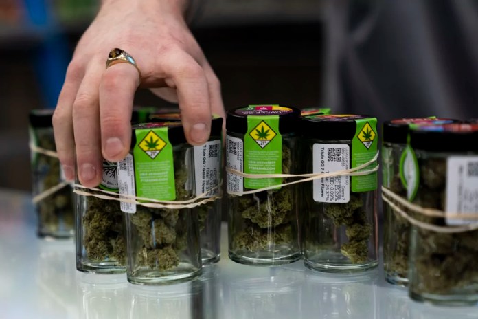 Trumps welcome marijuana crackdown thumbnail