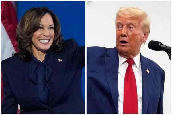 Harris boosted in swing states by support from key demographic