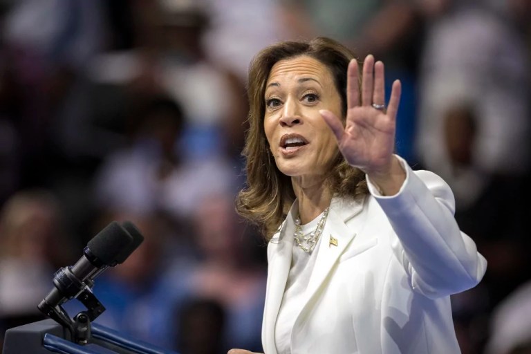 Kamala Harris’s plan for economic failure