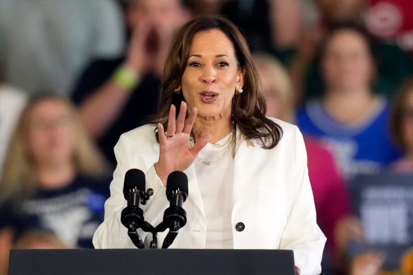 10 radical Harris positions the media are helping her hide: List