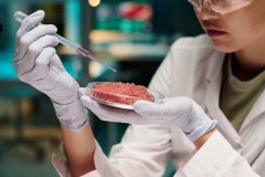 As Texas becomes 7th state to ban lab-grown meat, Trump’s FDA, USDA advance it