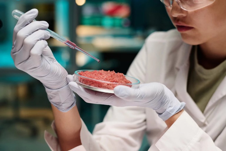 As Texas becomes 7th state to ban lab-grown meat, Trump’s FDA, USDA advance it