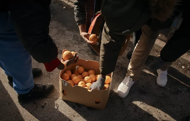 Florida citrus expected to produce smallest crop in over a century