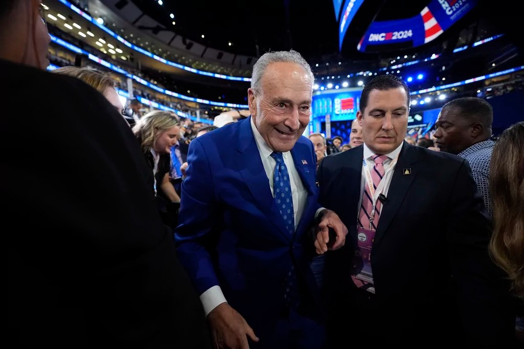 Schumer takes the stage at DNC night two
