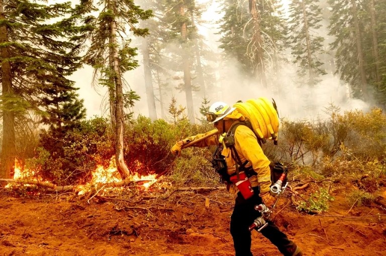 House approves bipartisan forests bill amid Biden criticism