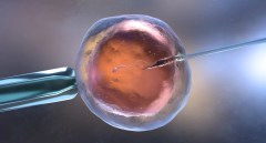 IVF raises risks of congenital heart defects: Study