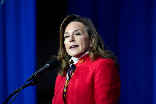 Lisa McClain slams nationwide left-wing protests as ‘I hate America’ rally