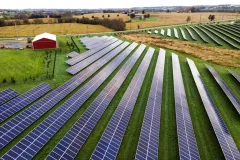 Farmers boost their profits by bringing sheep and solar farms together