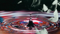 Rachel Kushner’s Creation Lake is a spy thriller set in the dangerous world of ideas
