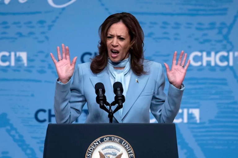 Liberal Media Scream: PBS says Harris a ‘happy warrior’ ready to ‘slap’ Trump