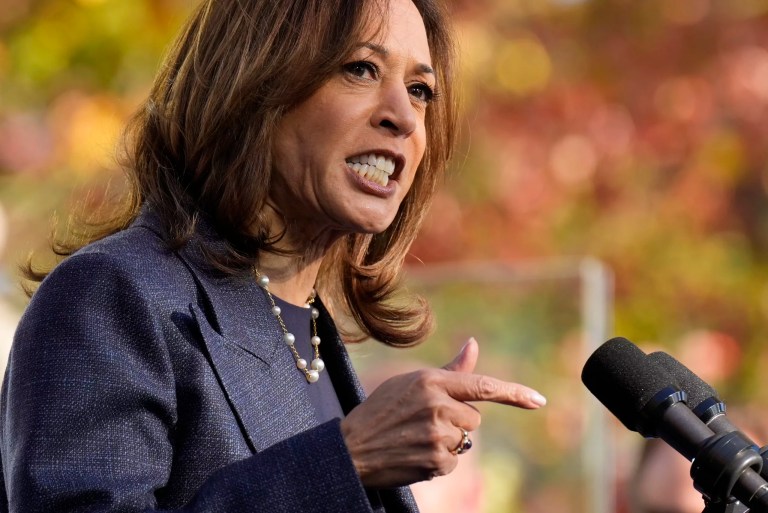 Sarah Bedford says Harris has run out of time for new message to ‘catch on’