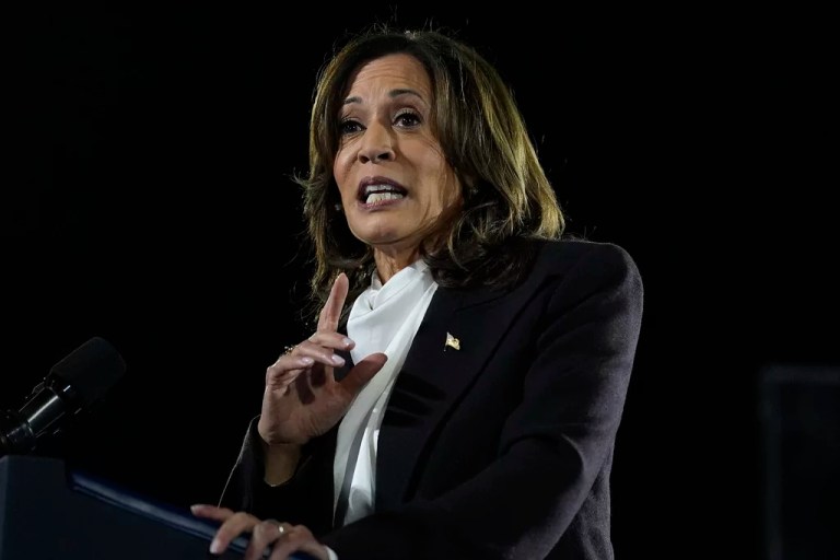 Democratic Party ‘cannot stop insulting’ opponents: Kaylee McGhee White