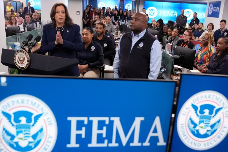 Biden’s agency bosses say Americans have ‘too much freedom’