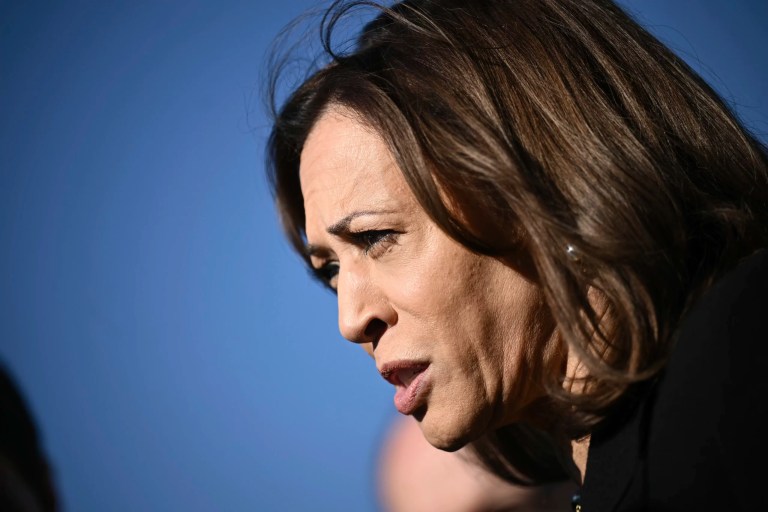 Harris has not ‘defined herself’ as Biden undermines her: Tiana Lowe Doescher