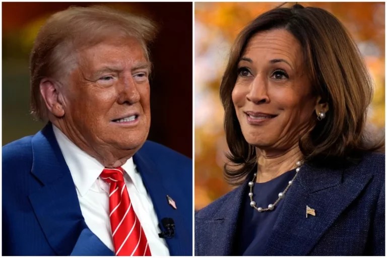 Kamala Harris polls turnout