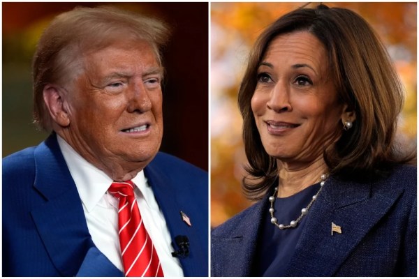 Polls are ‘underestimating’ turnout for Kamala Harris, Allan Lichtman argues