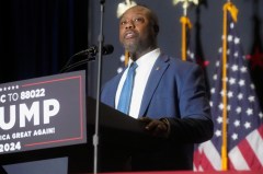 Minority voters choosing Trump has Democrats ‘losing their minds’: Tim Scott